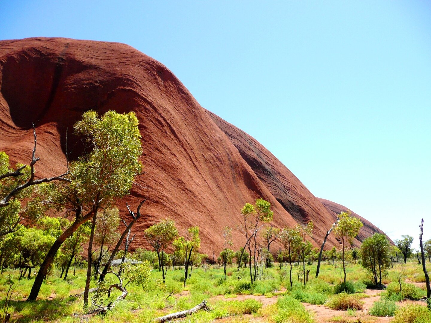 Kings Canyon: Full-Day Tour from Ayers Rock Resort